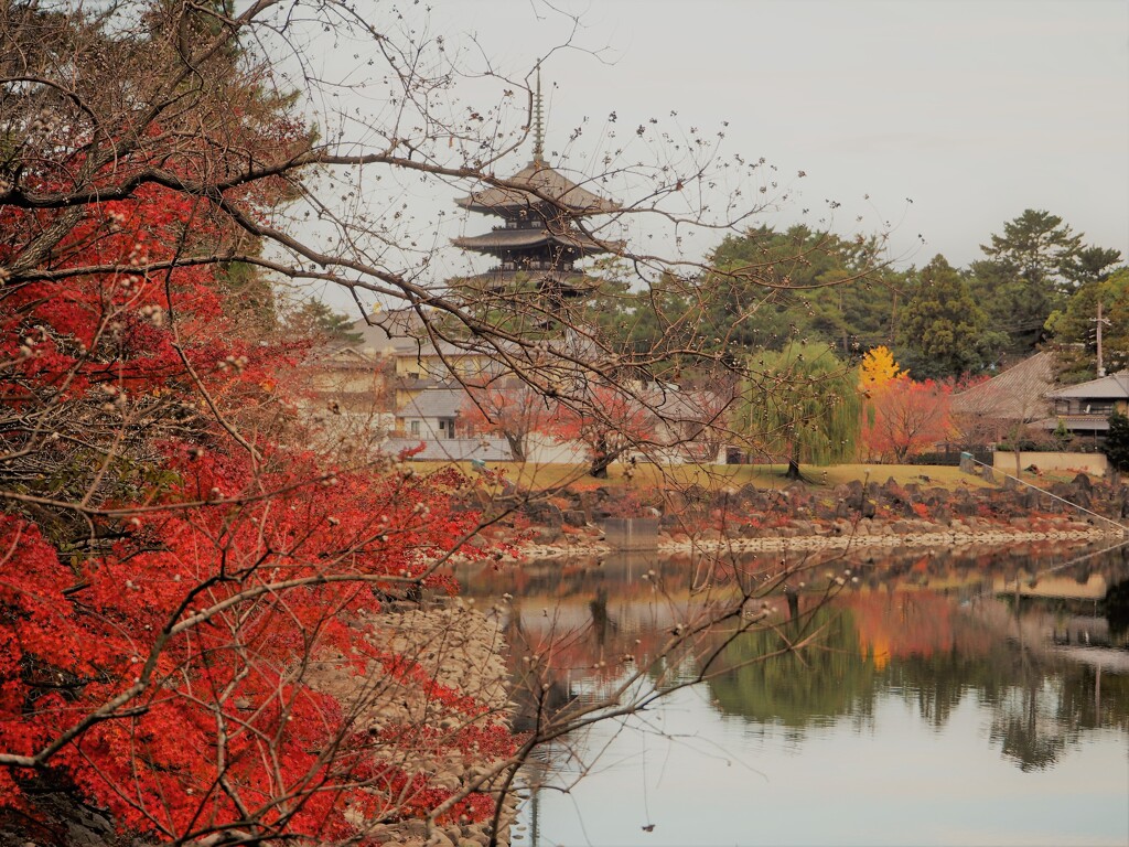 晩秋の奈良を往く[興福寺・五重塔]