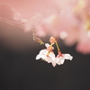 花酔ひ