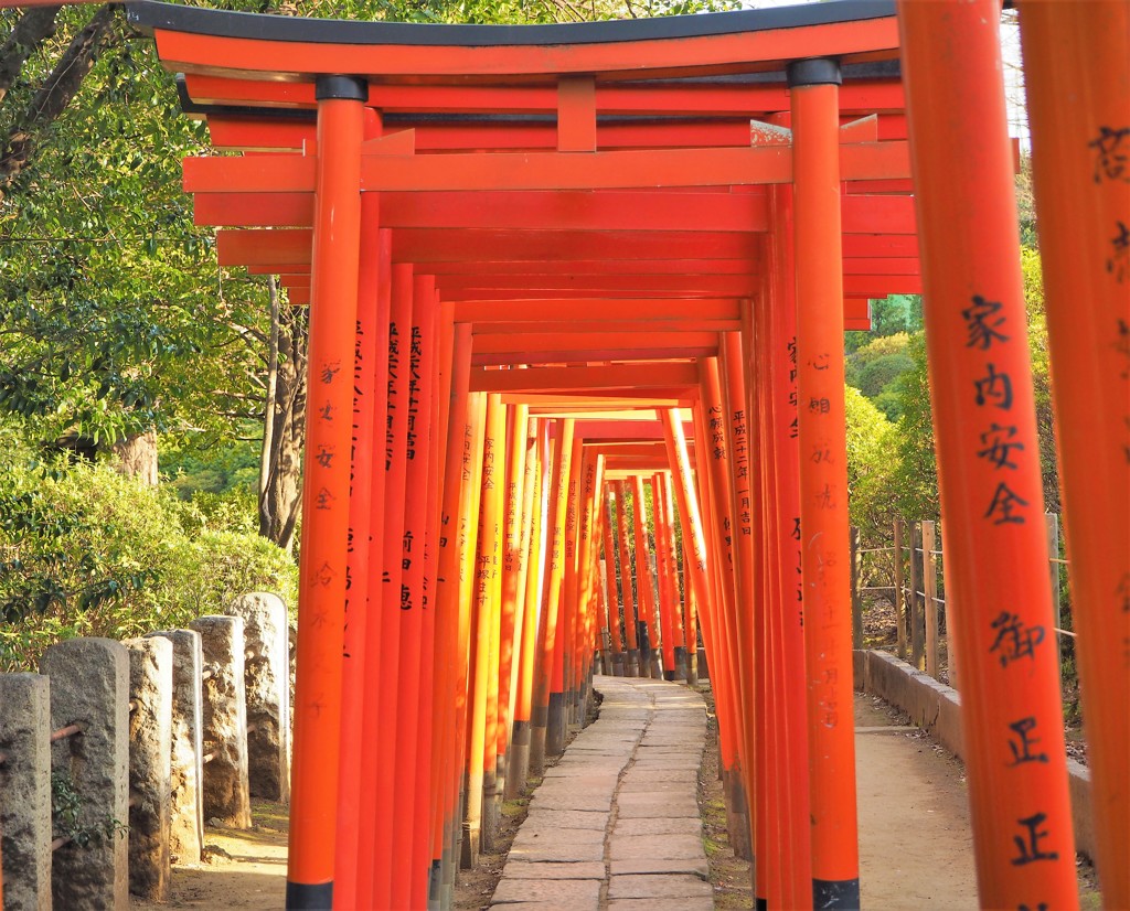 根津神社の千本鳥居