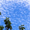 お天気変わり目～東の空