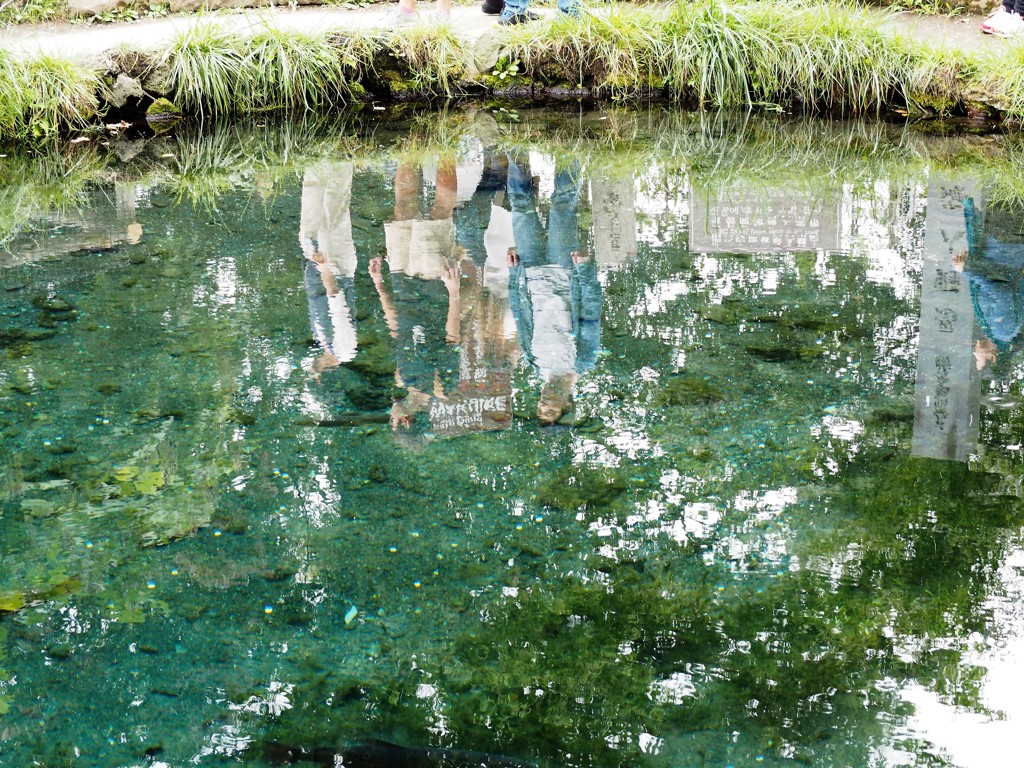 富士山麓の湧水