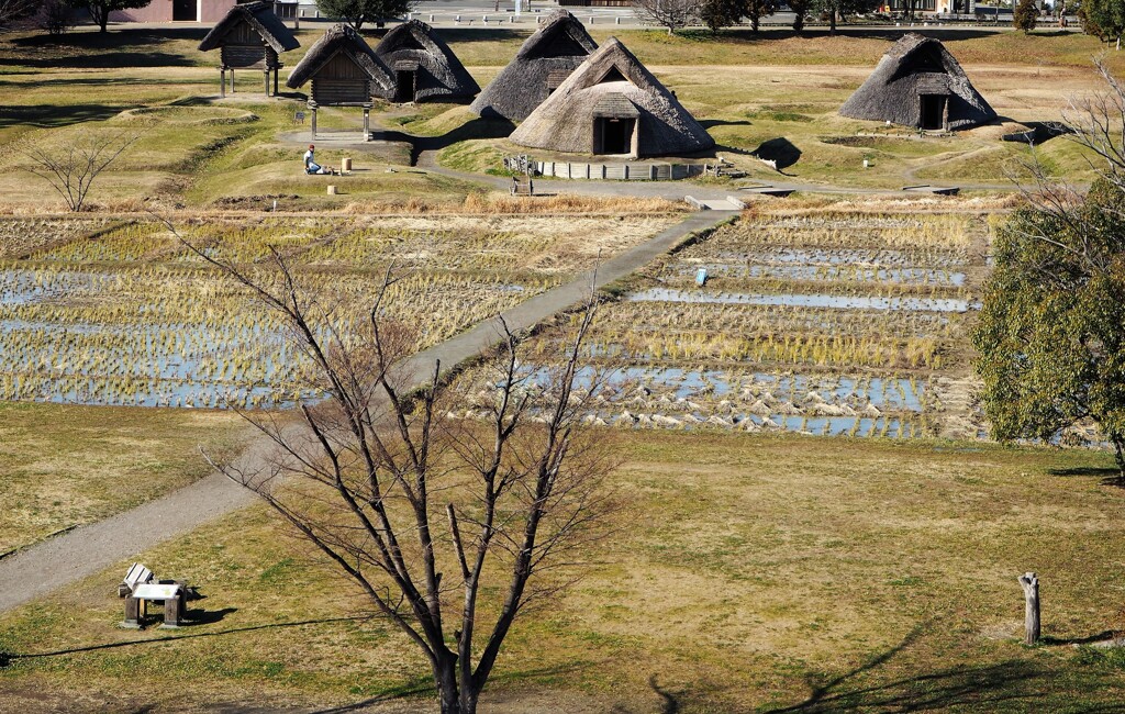 弥生の風景～登呂遺跡
