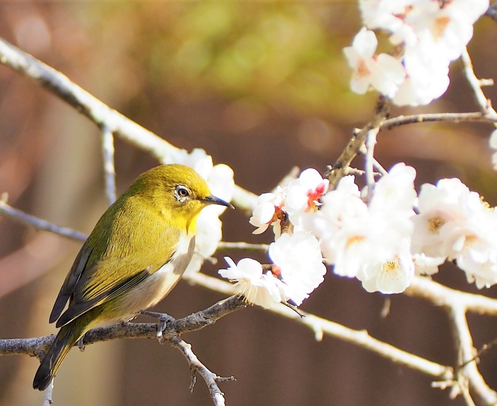 風より軽く