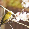 風より軽く