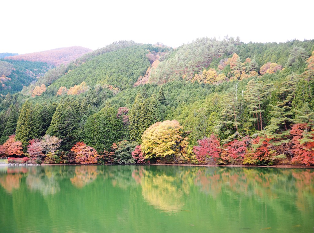 紅葉体感