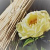 淑やかに咲く (2)
