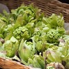 和の食材～ふきのとう (3)