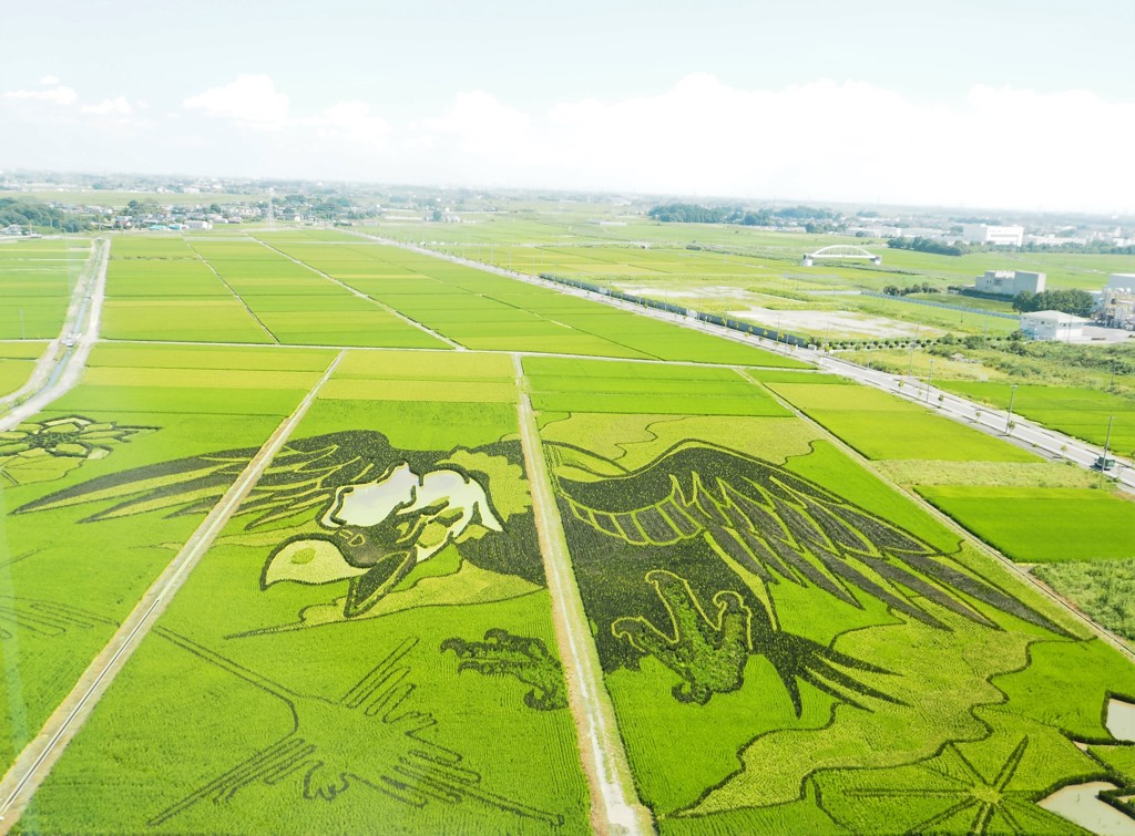 大いなる翼とナスカの地上絵 田んぼアートin行田 By 想空 Id 写真共有サイト Photohito