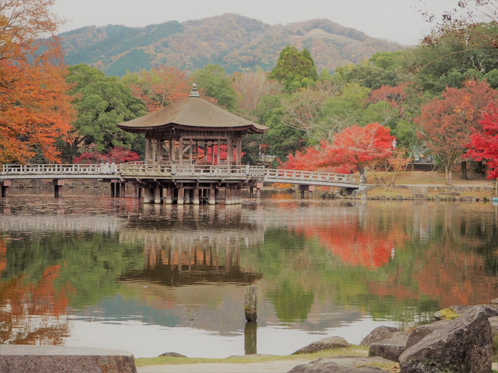 晩秋の奈良を往く[浮見堂]