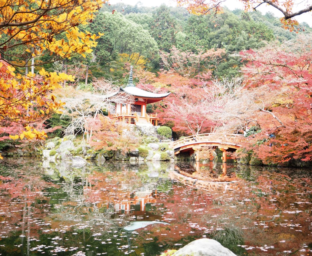 錦秋散策[京都・醍醐寺②]