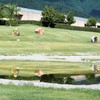 パツォウスカーの庭