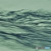 雪に映ゆ (2)