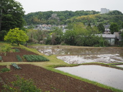 田植えの前に
