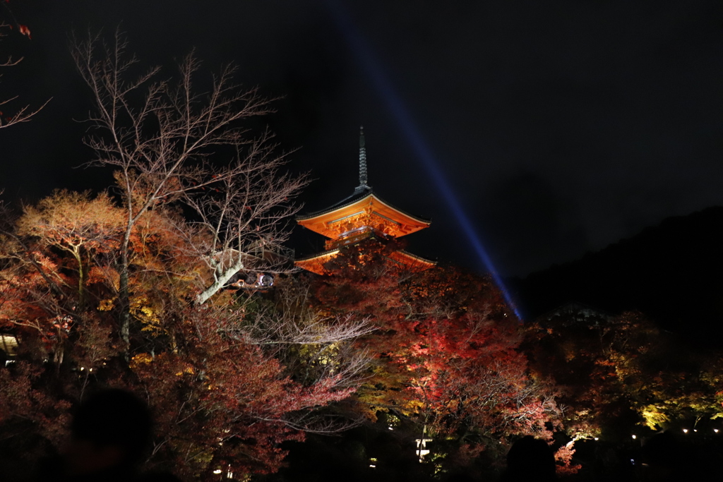 夜の紅葉 清水寺にて