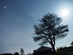 星空に寄り添って part.1