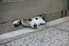 春の陽気に誘われて