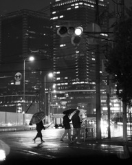 夜の雨は地面がよく光る