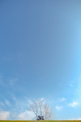 朝活