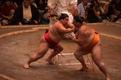 大栄翔 