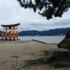 鹿と大鳥居