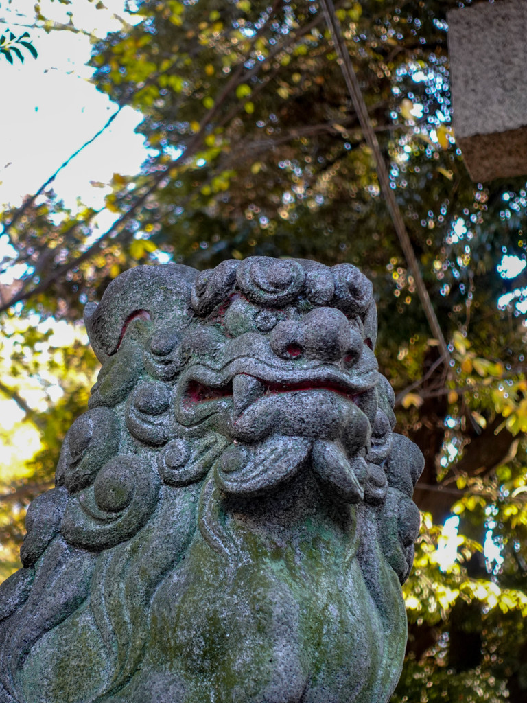 通勤路（大國魂神社/府中）（４）