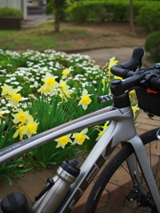 お！かっこいいロードバイクだねぇ〜！