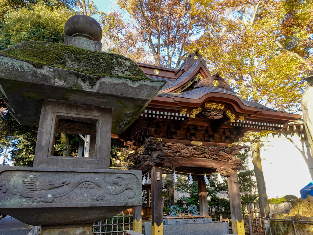 通勤路（大國魂神社/府中）（２）