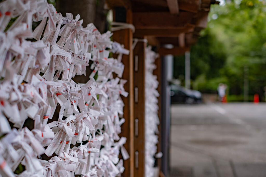 増上寺にて（４）