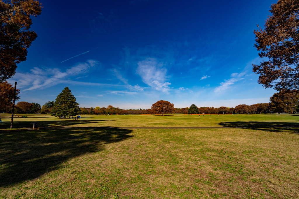 昭和記念公園　みんなの原っぱ