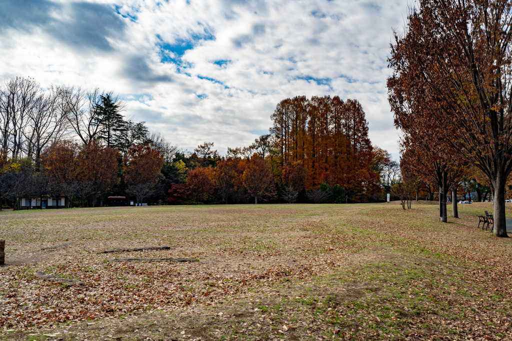 晩秋の公園（３）