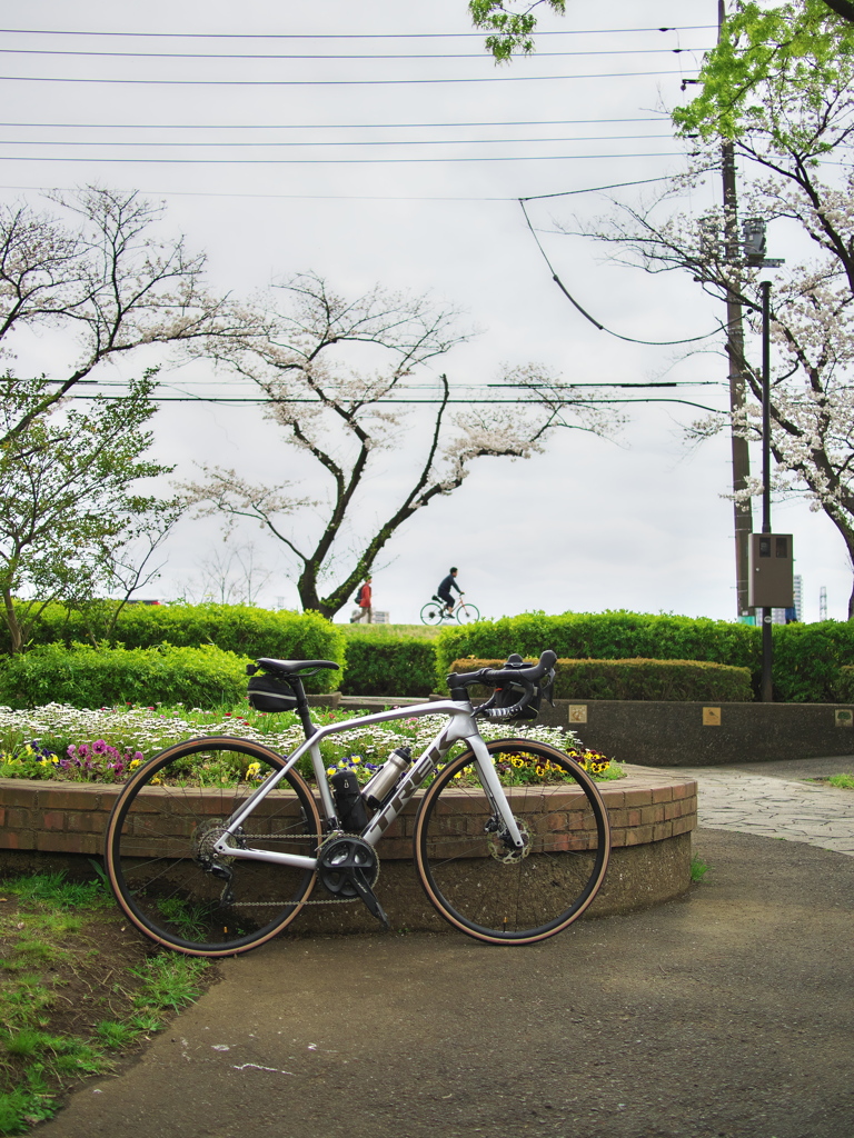 多摩川サイクリングロード