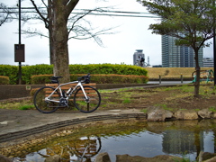 多摩川サイクリングロード