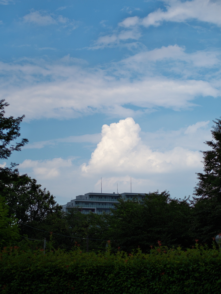 夏の雲