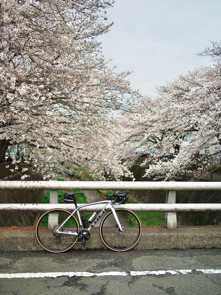 三沢川