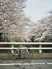 三沢川