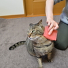 それでは皆様