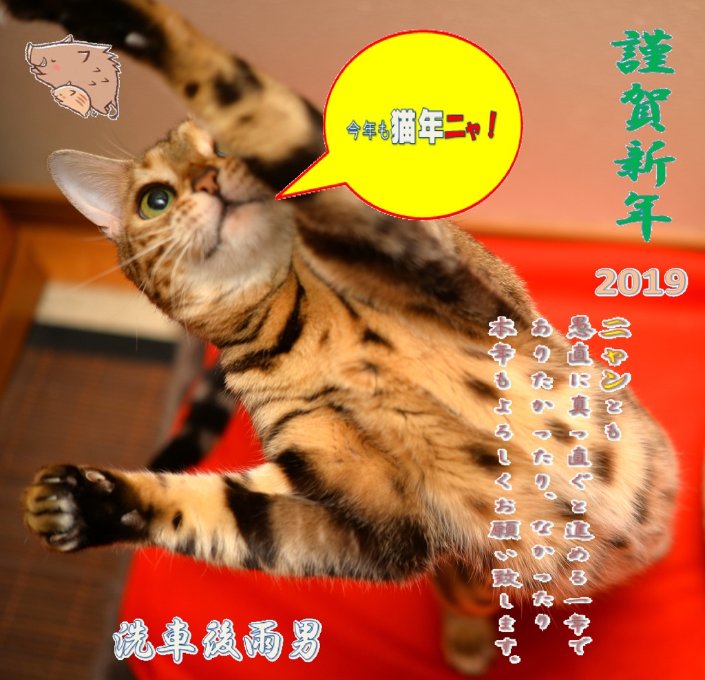 フライングぎみ年賀状改訂版