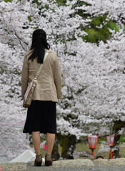 春の1枚