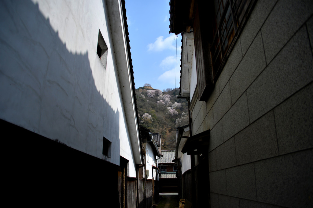 路地より臨む。とか