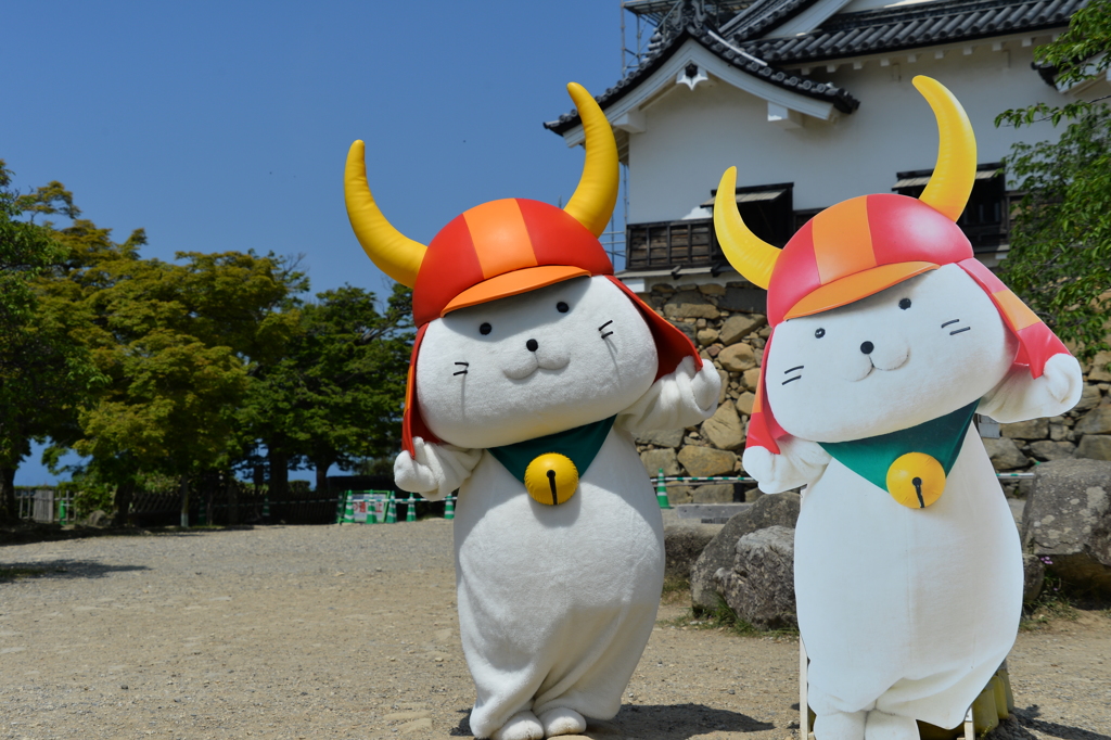 そういえばネコ科？