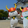 そういえばネコ科？