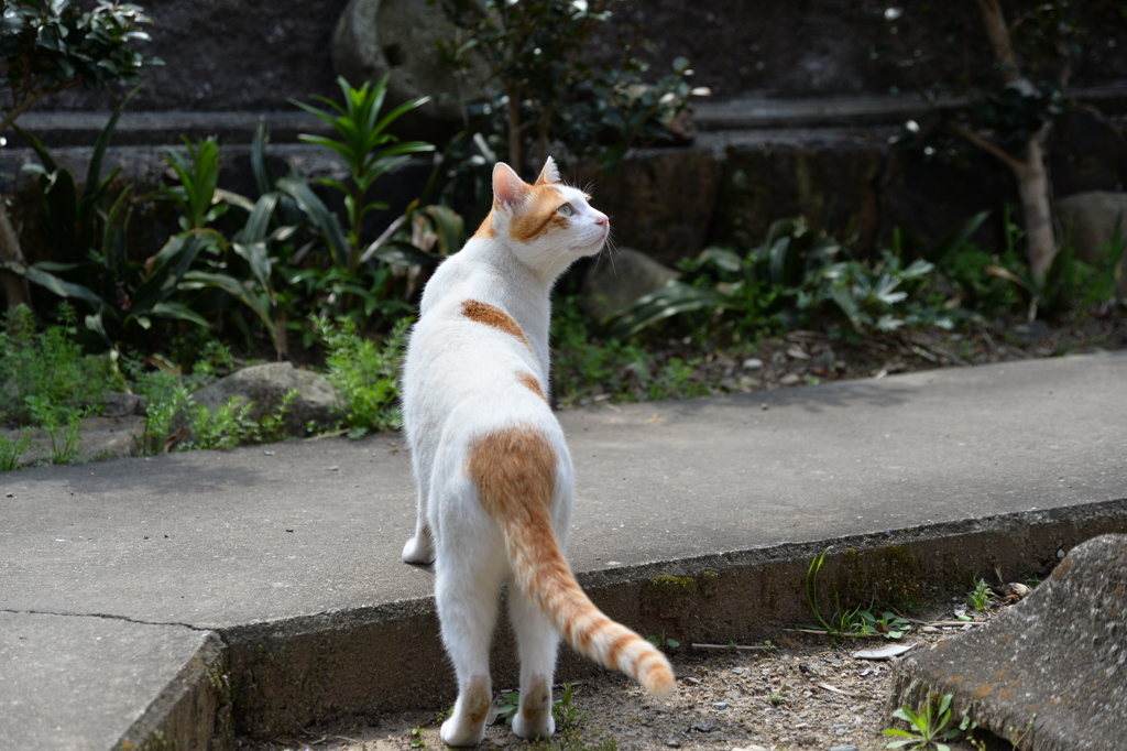 春と知る