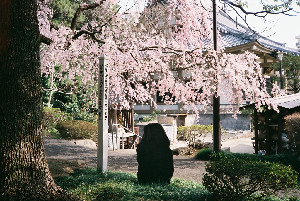 初めてのフィルム