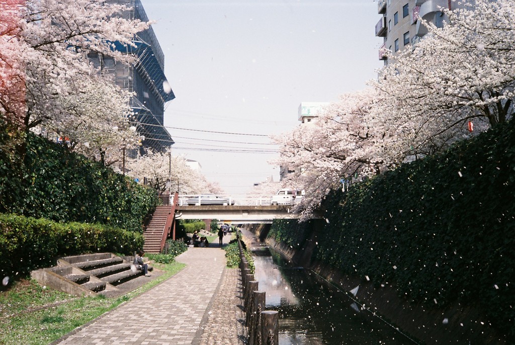 初めてのフィルム