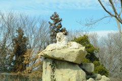 DSCF2995