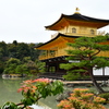 雨の中に佇む金閣寺
