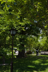 岩国 公園