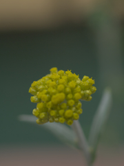 R5077512
