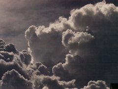 R8278162