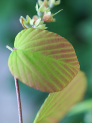 P5025597